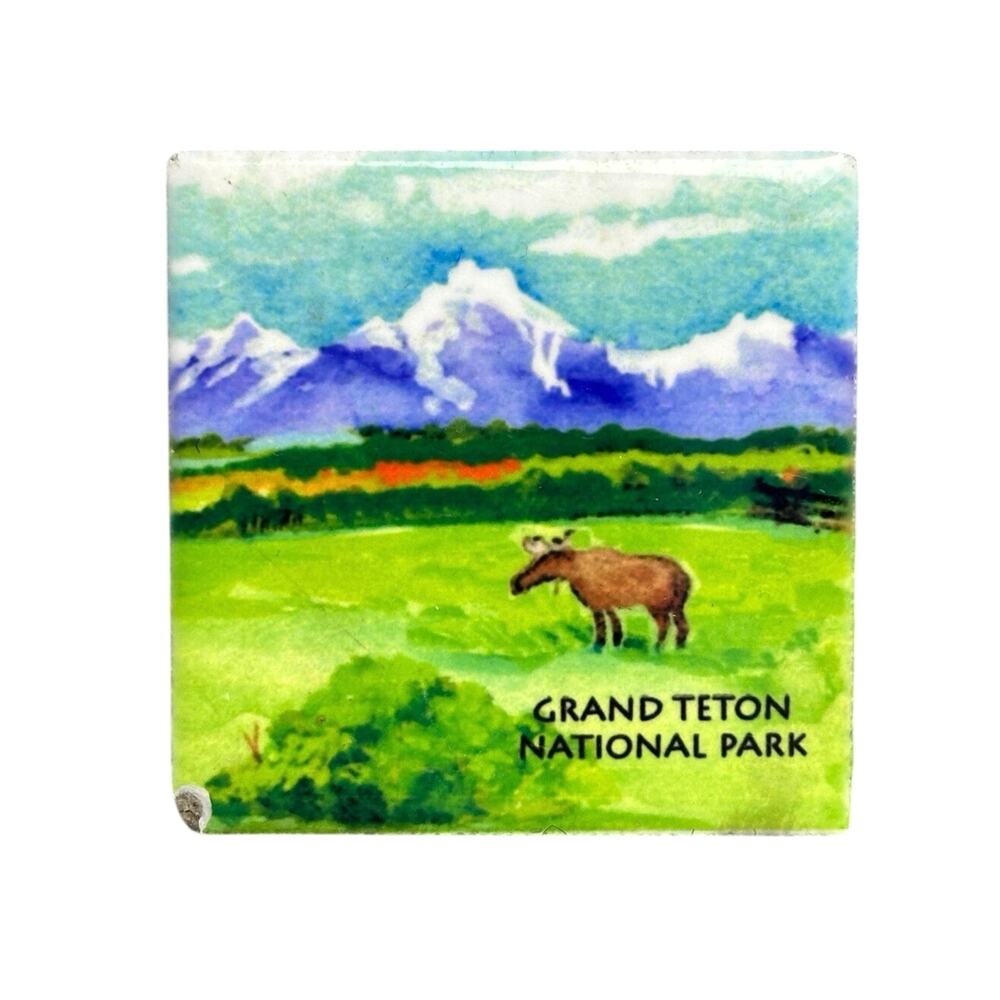 Vintage fridge magnet Wyoming Grand Teton National Park ceramic moose mountain